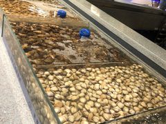 -圣罗巴海鲜自助(黑金店)