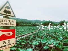 -红山村
