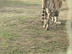 -祥源·阜阳生态乐园