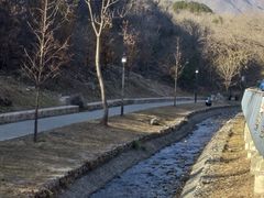 -白水寺森林公园