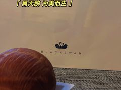 -BLACKSWAN黑天鹅(环球店)