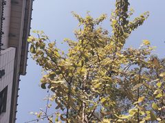 -万福兴(东中市店)