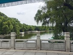 -北陵公园