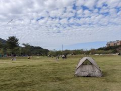 -风云岭森林公园