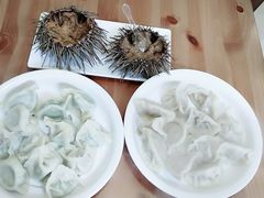 -海胆小馆(东北水饺·春柳店)