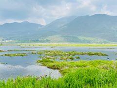 -腾冲北海湿地