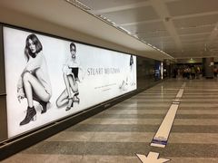 -米兰马尔彭萨国际机场