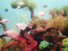 -多彩贵州城极地海洋世界