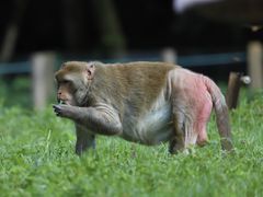 -杭州野生动物世界