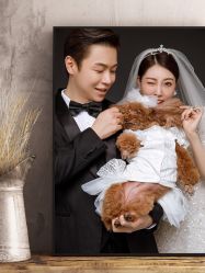 -CD视觉婚纱摄影