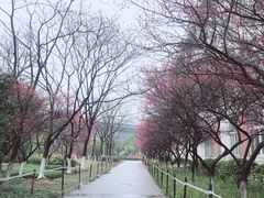 -杭州电子科技大学(下沙校区)
