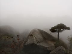 -天柱山风景区