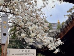 -龙华寺