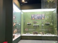 -国家自然博物馆