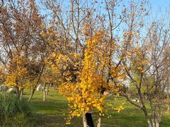 -汉长安城未央宫国家考古遗址公园