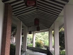 -杭州世外桃源君澜度假酒店