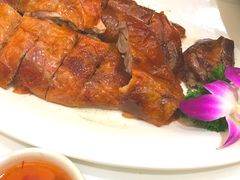 -九尊食上(生态园林酒店)