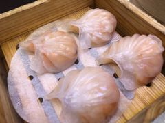 -龙的酒楼·手工早茶·顺德菜(近良路店)