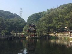 -忠山公园