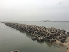-东疆建设开发纪念公园