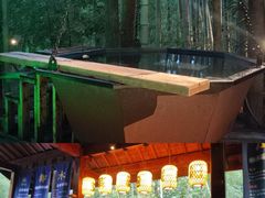 -天目湖御水温泉·度假酒店