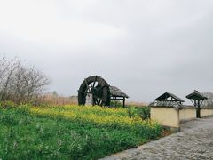 -同里国家湿地公园