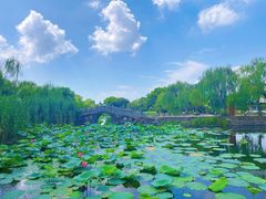 -无锡蠡湖国家湿地公园-蠡园