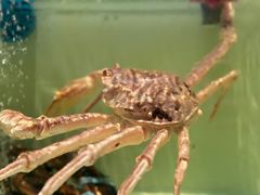 -至尊鲨鱼·原烹海鲜·新浙菜(拱宸桥店)
