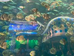 -瑞德姆美人鱼海底演艺主题餐厅(亚龙湾店)