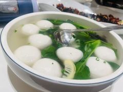 -四季春