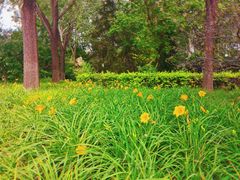 -森林公园(尖草坪区)