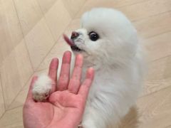 -成都银泰中心in99