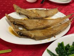 -蛇口康乐快餐鱼仔档(翠苑小区店)