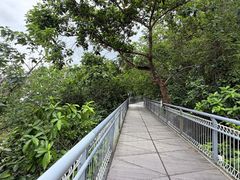-佛山华盖山公园