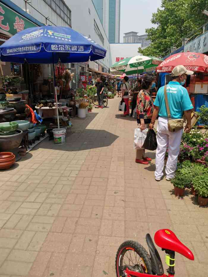 登发花鸟鱼虫市场"午休去的 为了买个花盆 去了才发现别有洞.