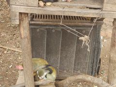-灵玲国际马戏城