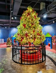 -幻贝家儿童乐园(苏州中心店)