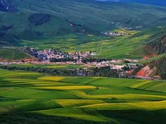 -青海湖国家重点风景名胜区