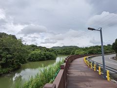 -梧桐山风景名胜区