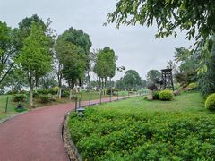 -铁山坪森林公园