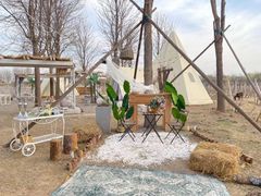 -安德鲁户外烧烤帐篷营地(马泉营店)