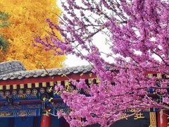 -西安市广仁寺