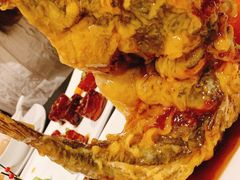 糖醋鲤鱼-城南往事·味道济南菜(金龙大厦店)