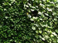 -张福记(陇海中路店)