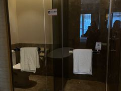 -河源万绿湖美思威尔顿酒店