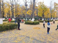 -百林公园-两江幸福广场