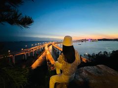 -星海湾跨海大桥