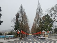 -井冈山风景名胜区