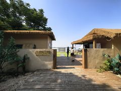 -瑶湖郊野森林公园