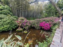 -杭州黄龙洞